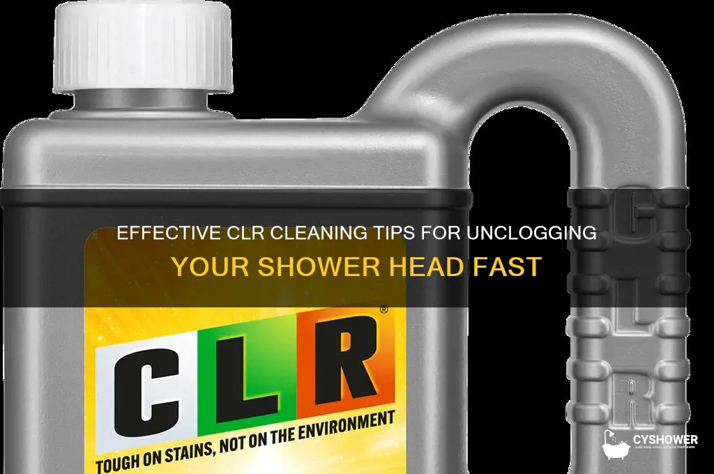 how to clean clogged shower head with clr