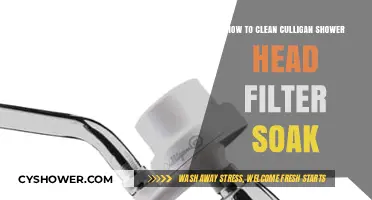 Effective Culligan Shower Head Filter Cleaning: Soaking Tips for Optimal Performance