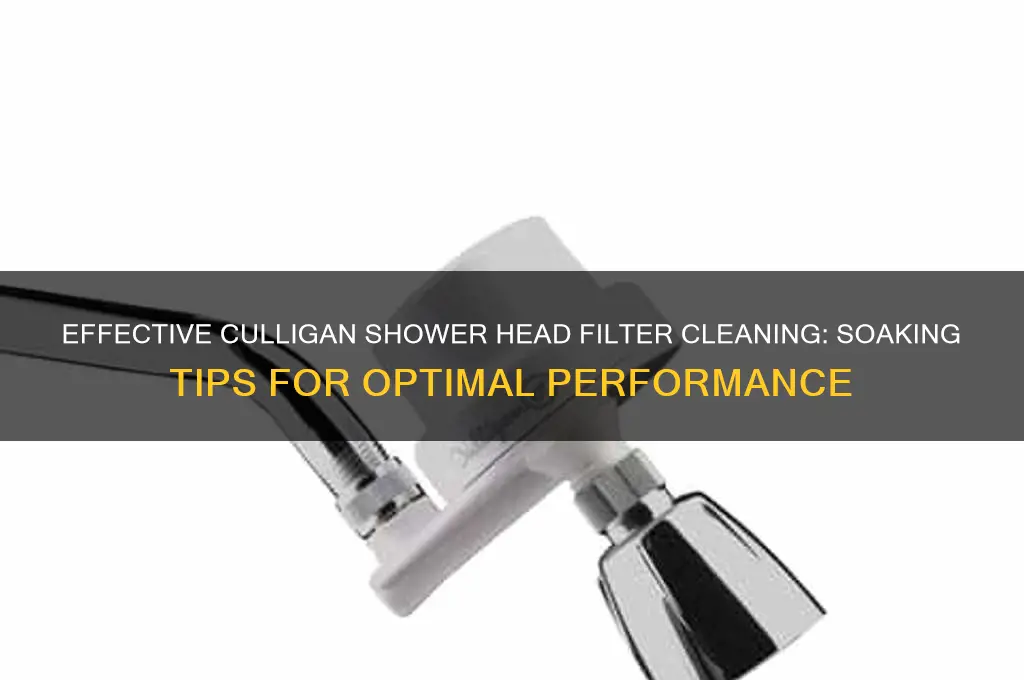 how to clean culligan shower head filter soak