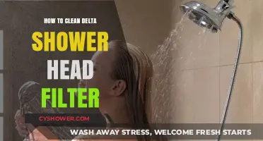 Easy Steps to Clean Your Delta Shower Head Filter Effectively