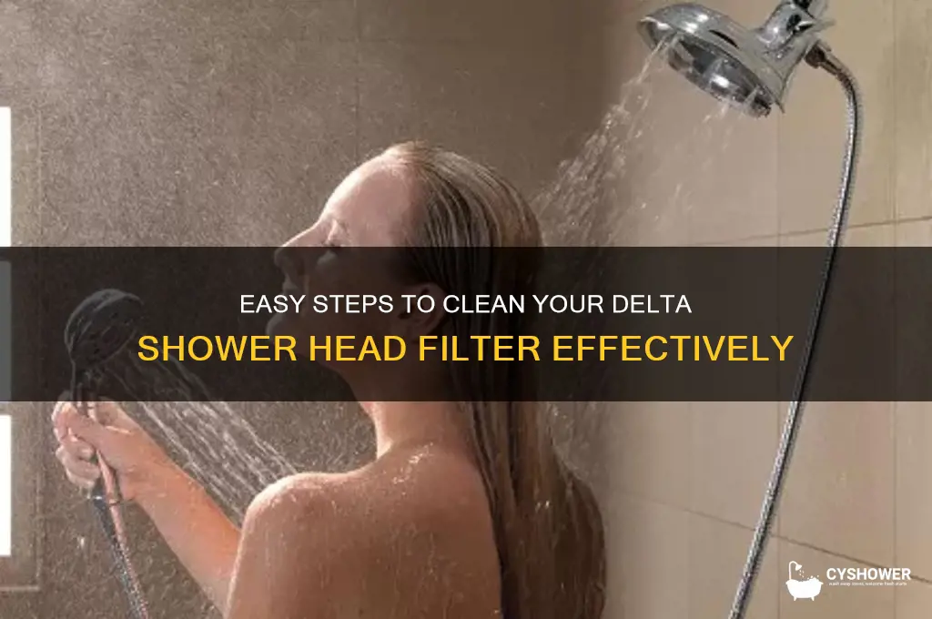 how to clean delta shower head filter