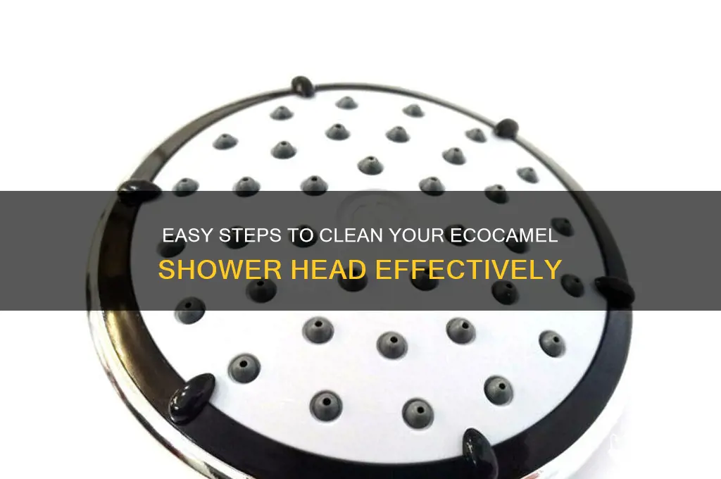 how to clean ecocamel shower head