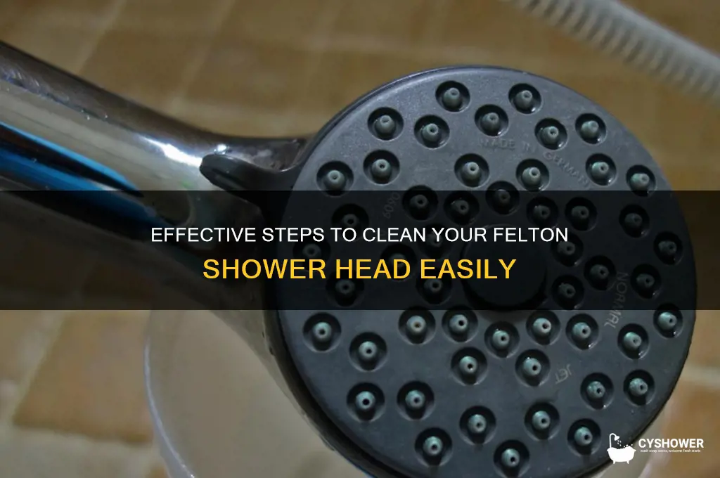 how to clean felton shower head