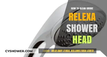 Effective Cleaning Tips for Your Grohe Relexa Shower Head