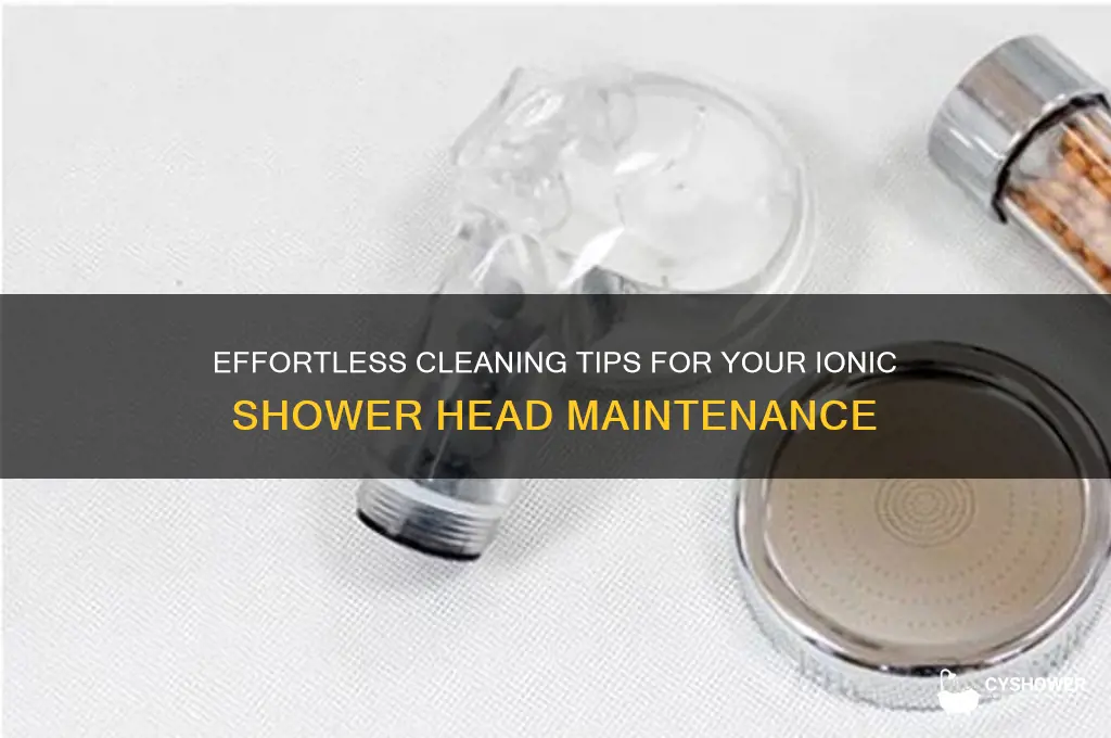 how to clean ionic shower head