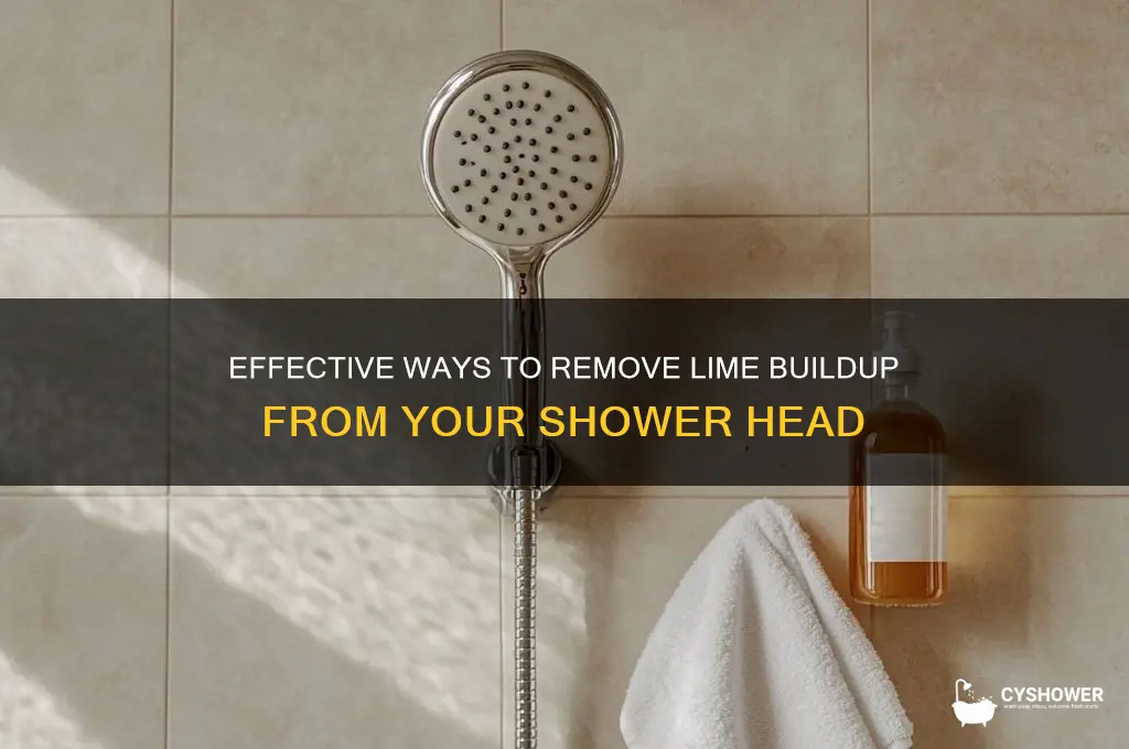how to clean lime buildup in shower head