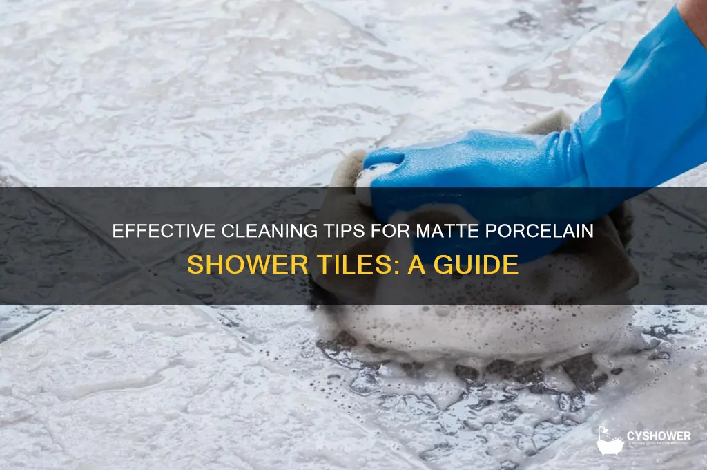 how to clean matte porcelain tiles in shower
