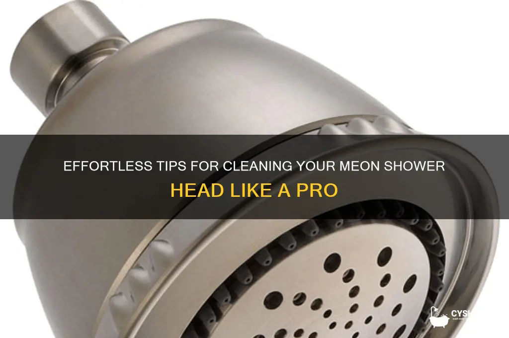 how to clean meon shower head