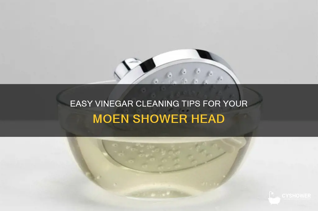 how to clean moen shower head with vinegar