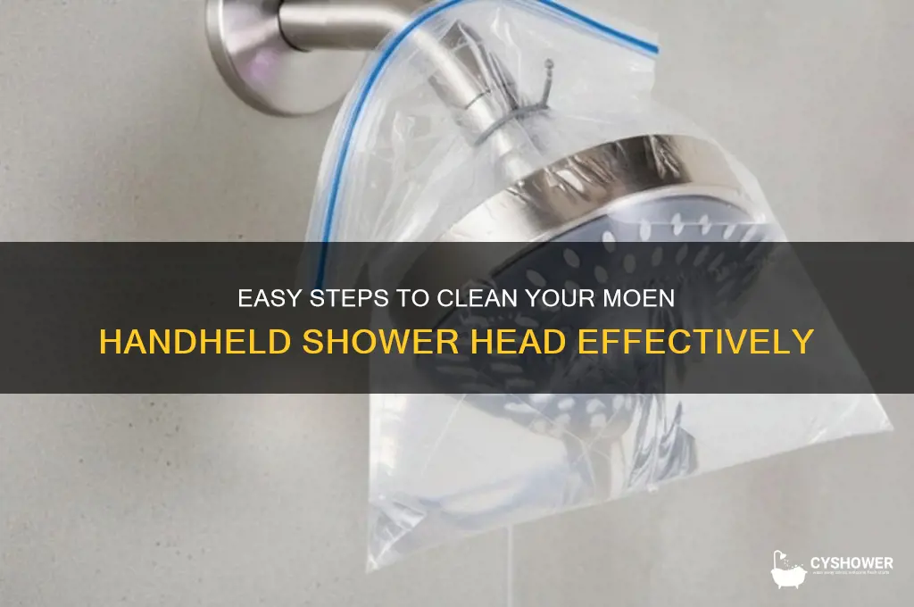 how to clean mohen hand held shower head