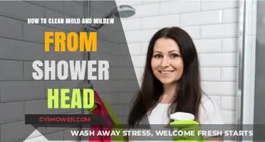 Effective Shower Head Cleaning: Remove Mold and Mildew Easily