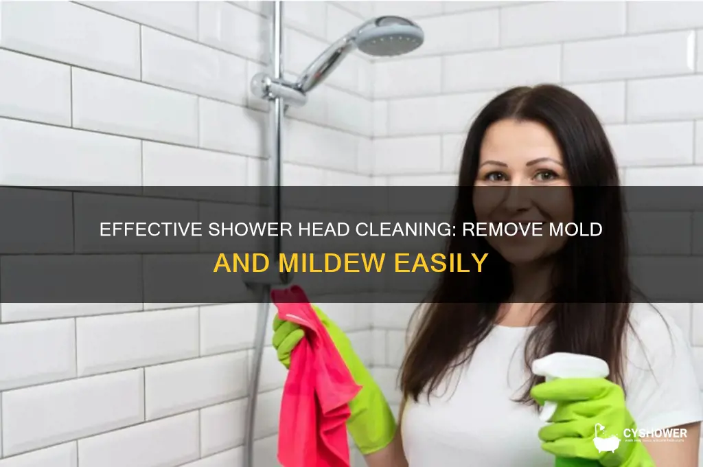 how to clean mold and mildew from shower head