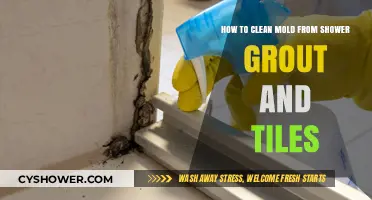 Effective Shower Cleaning: Removing Mold from Grout and Tiles Easily
