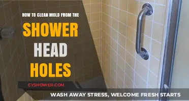 Effective Shower Head Mold Removal: Clean Clogged Holes Easily