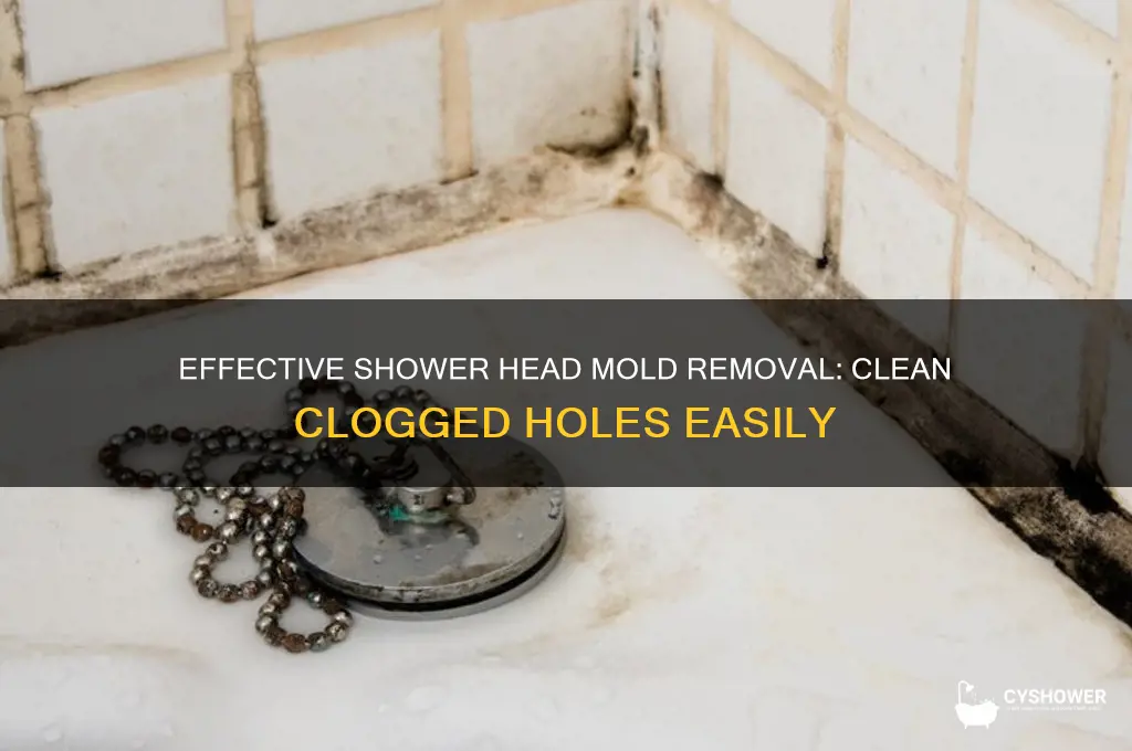 how to clean mold from the shower head holes