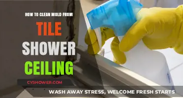 Effective Mold Removal: Cleaning Tile Shower Ceilings Step-by-Step Guide