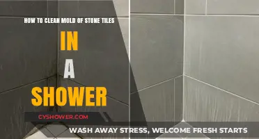 Effective Mold Removal: Cleaning Stone Shower Tiles Step-by-Step Guide