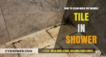 Effective Ways to Remove Mold from Marble Shower Tiles
