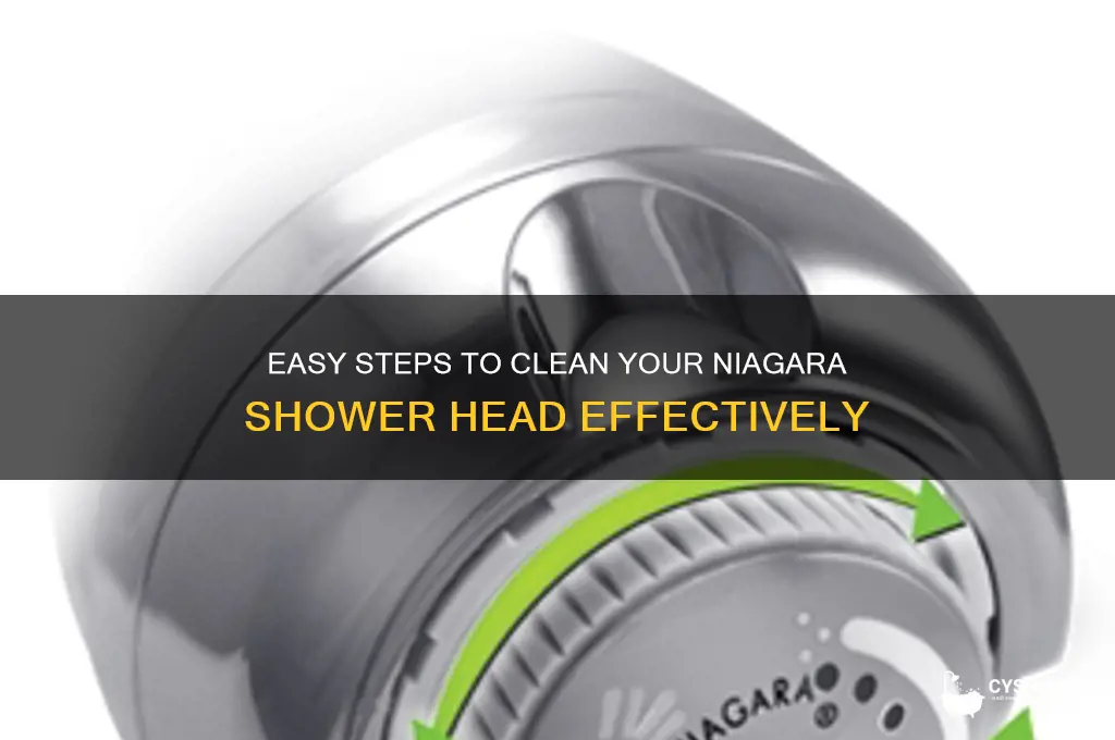 how to clean niagara shower head
