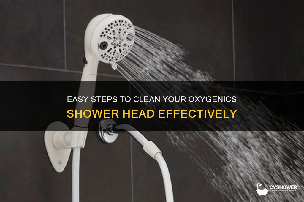 how to clean oxygenics shower head