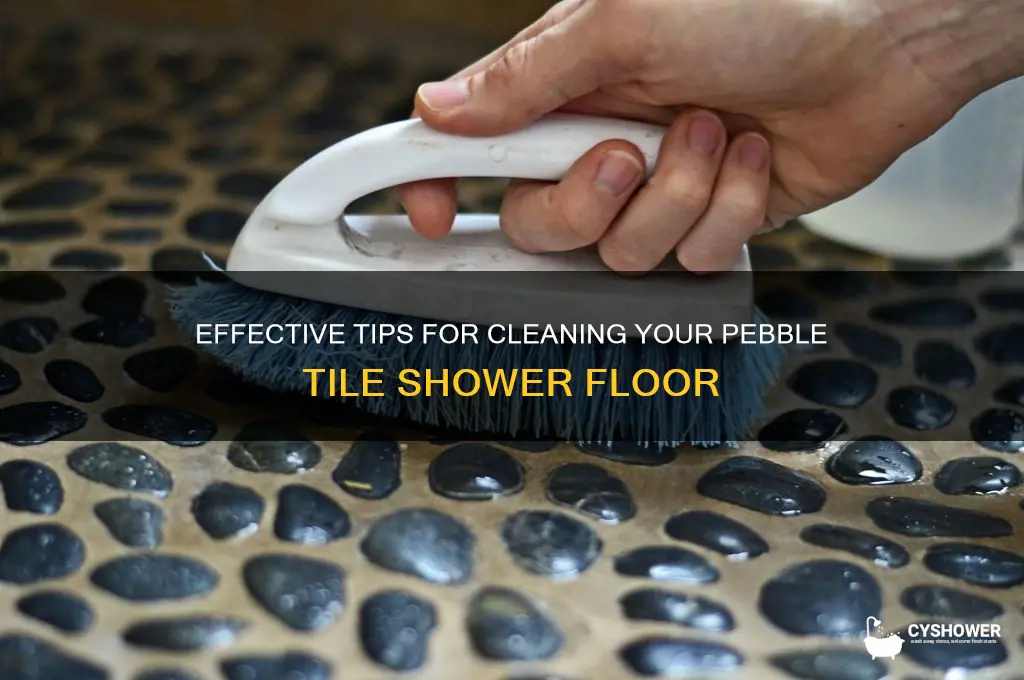 how to clean pebble tile shower floor