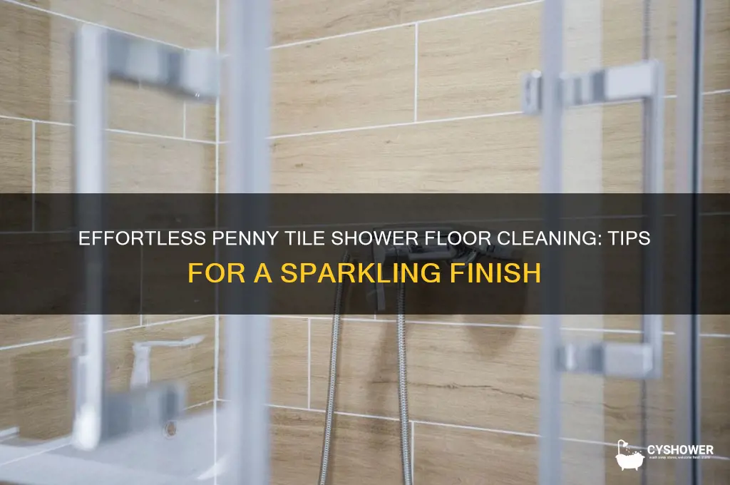 how to clean penny tile shower floor
