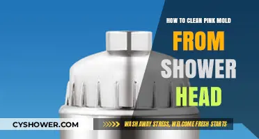 Effective Tips to Remove Pink Mold from Your Shower Head
