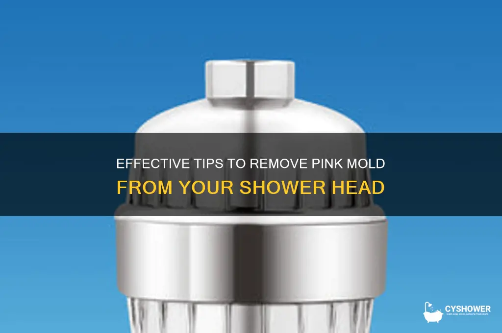 how to clean pink mold from shower head