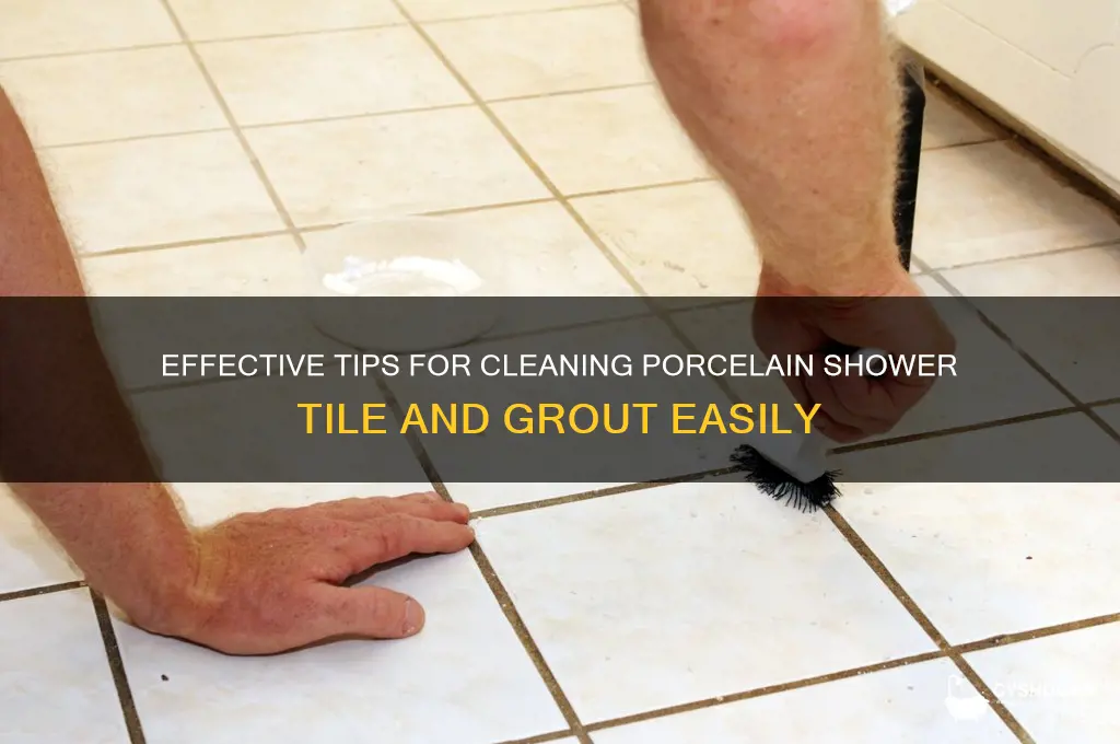 how to clean porcelain shower tile and grout
