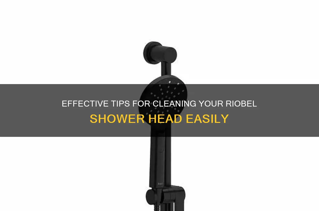 how to clean riobel shower head