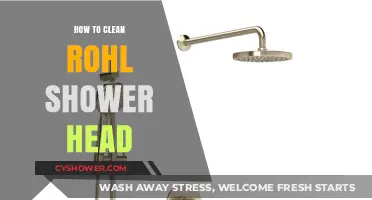 Effortless Rohl Shower Head Cleaning: Simple Steps for Sparkling Results