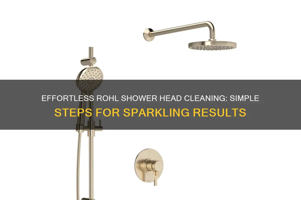 how to clean rohl shower head