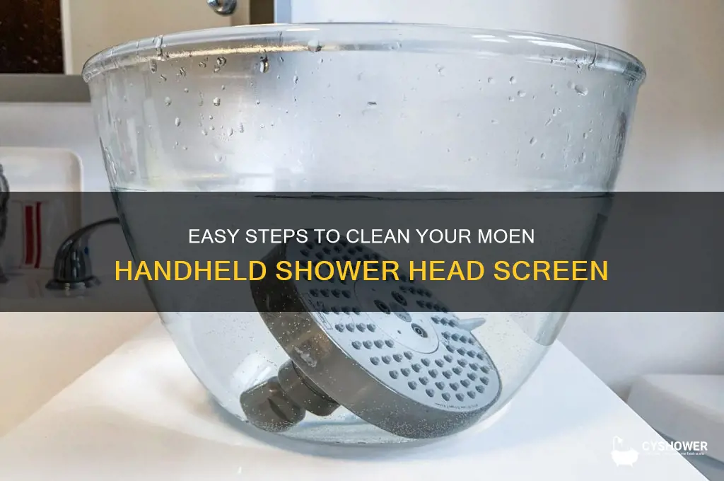 how to clean screen on moen hand held shower head