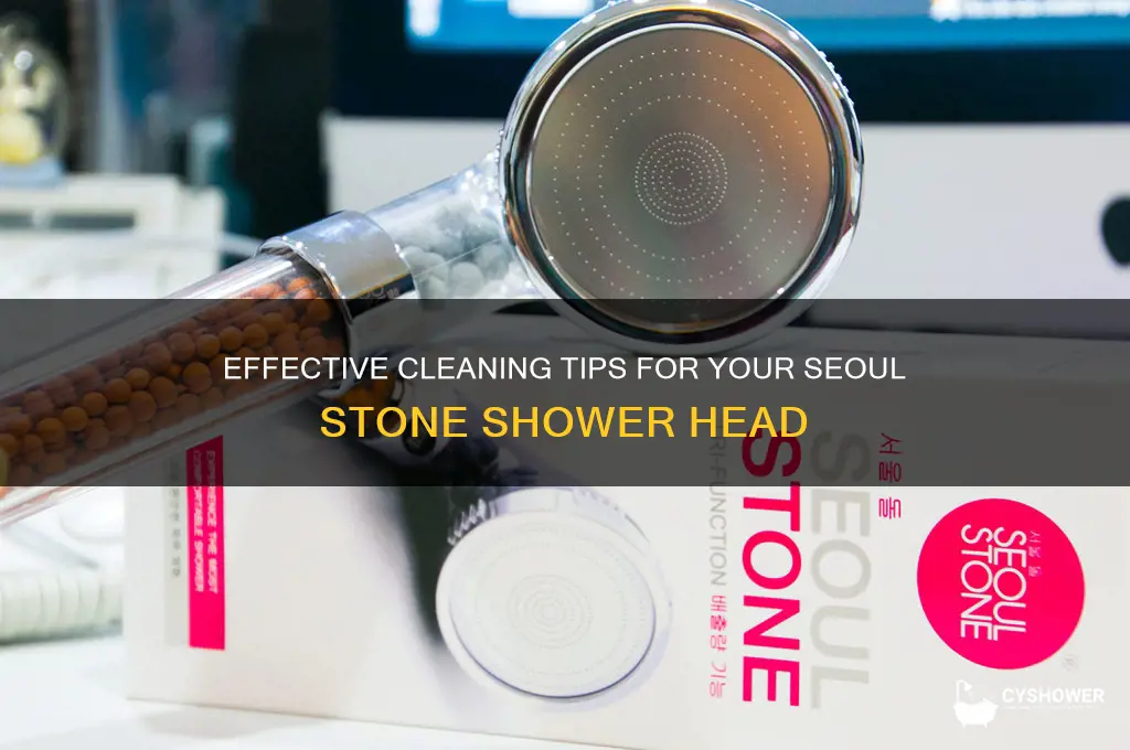 how to clean seoul stone shower head