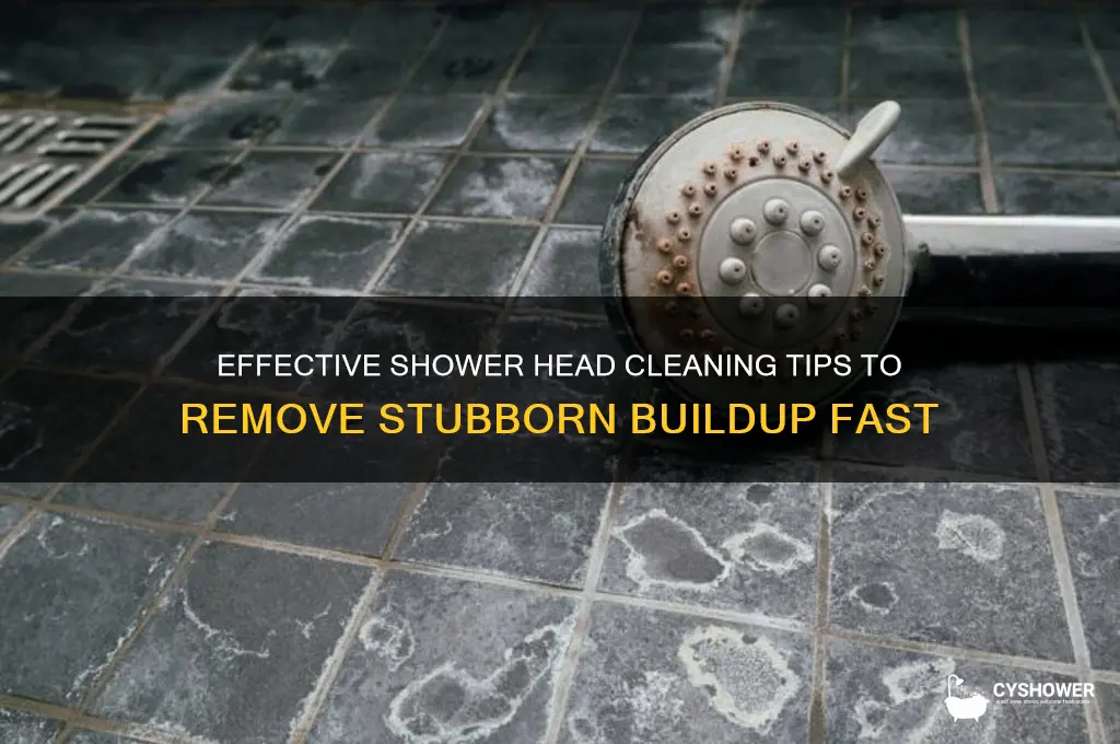 how to clean shower head buildup
