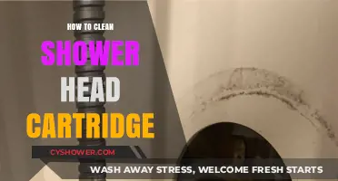 Easy Steps to Clean Your Shower Head Cartridge Effectively