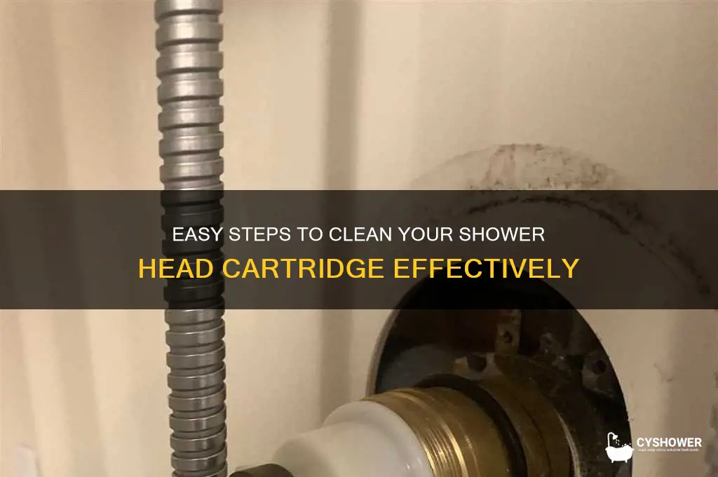 how to clean shower head cartridge