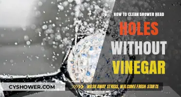 Effective Ways to Clean Shower Head Holes Without Using Vinegar