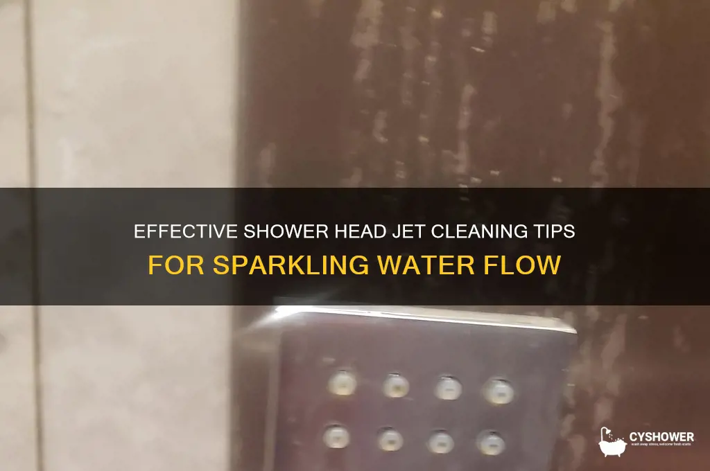 how to clean shower head jets