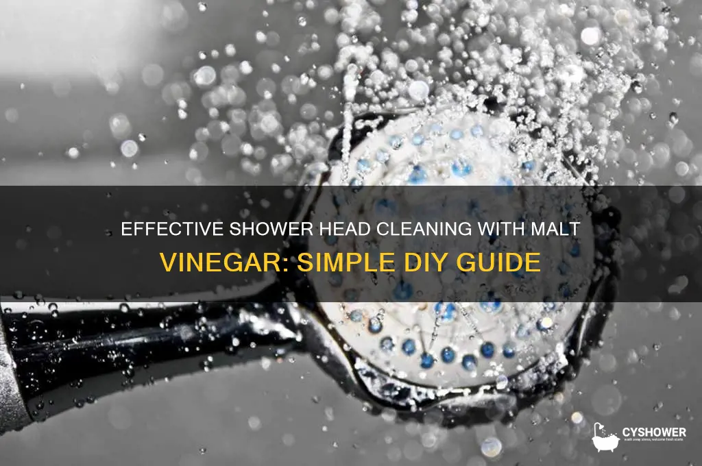 how to clean shower head malt vinegar