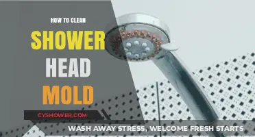 Effective Shower Head Mold Removal: Simple Cleaning Tips for a Healthy Bathroom