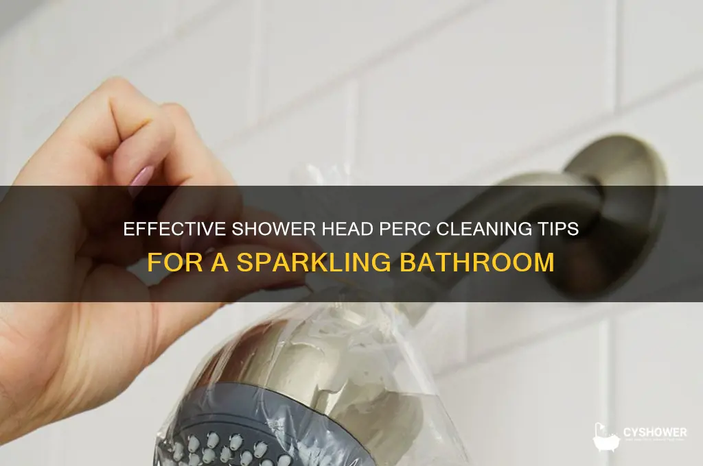 how to clean shower head perc