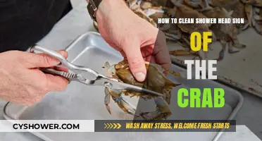 Effective Shower Head Cleaning Tips for the Zodiac Sign of the Crab