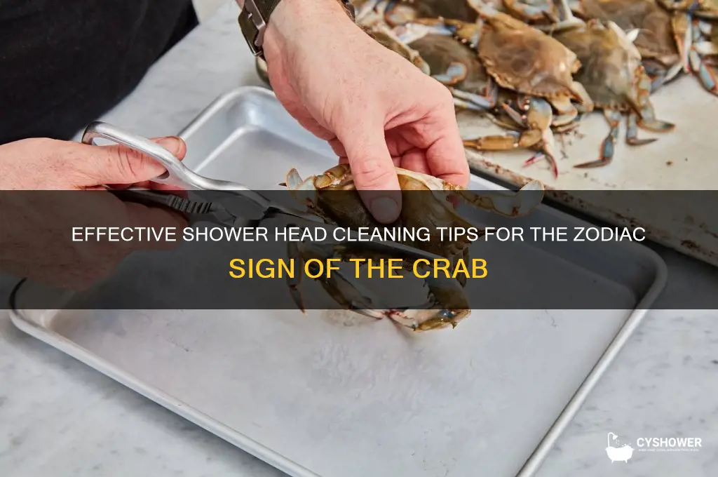 how to clean shower head sign of the crab