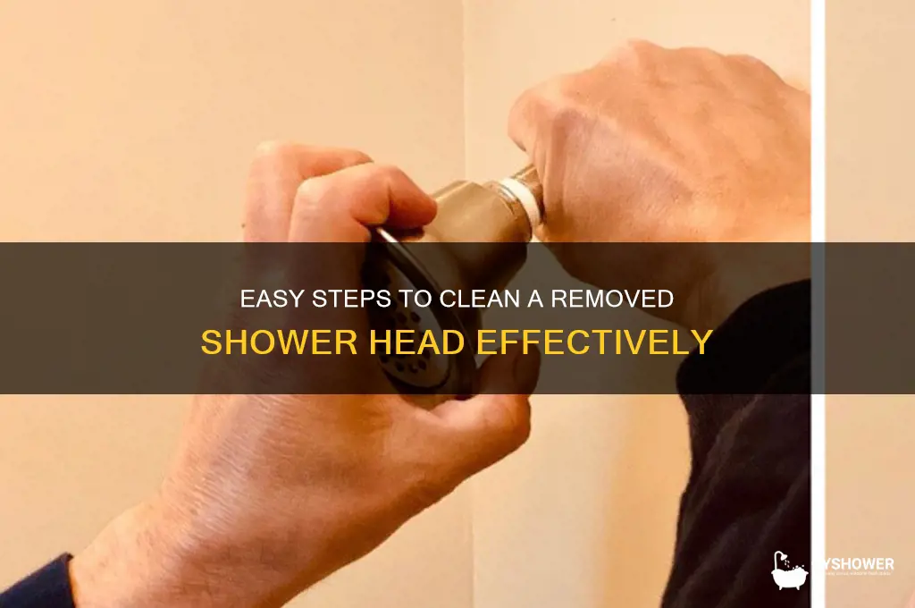 how to clean shower head that has been taken off