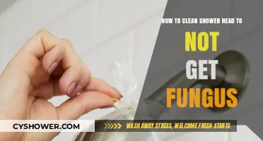 Prevent Fungus: Easy Steps to Clean Your Shower Head Effectively