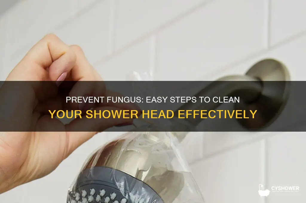 how to clean shower head to not get fungus