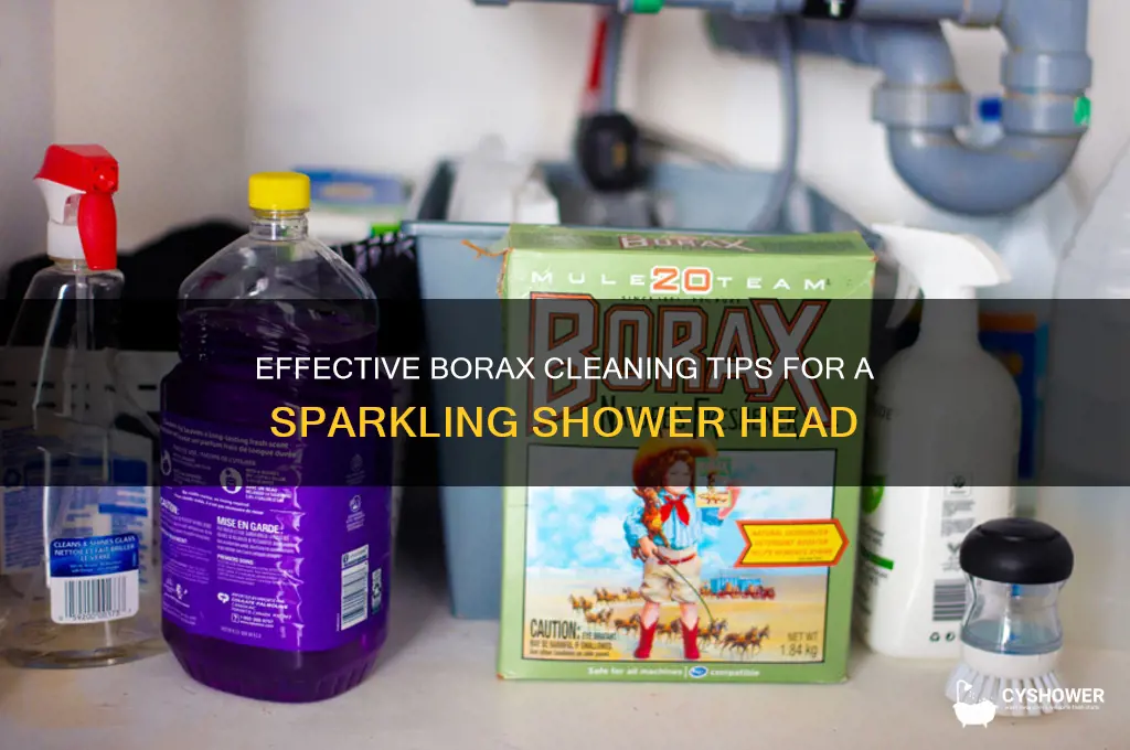 how to clean shower head with borax