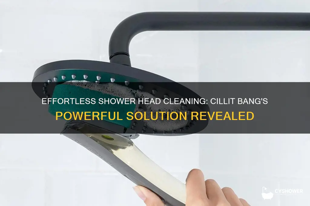 how to clean shower head with cillit bang