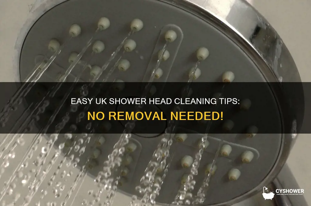 how to clean shower head without removing it in uk